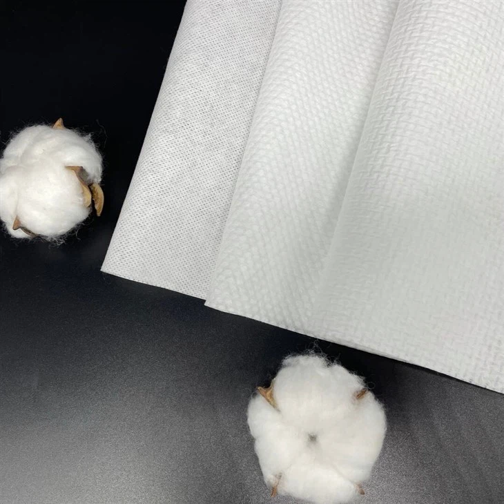 Toilet Paper & Seat Wipes